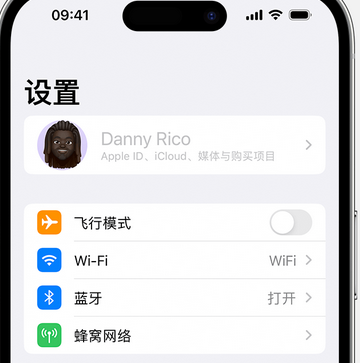 安庆appleID维修服务iPhone设置中Apple ID显示为灰色无法使用 