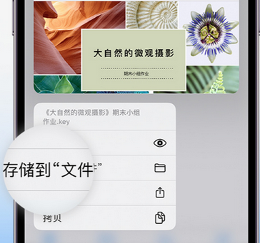 安庆apple维修中心分享iPhone文件应用中存储和找到下载文件