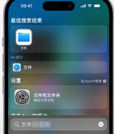 安庆apple维修中心分享iPhone文件应用中存储和找到下载文件 