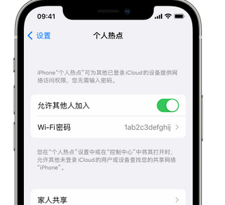 安庆apple服务站点分享iPhone上个人热点丢失了怎么办 