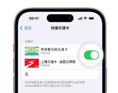 安庆apple维修点分享iPhone上更换Apple Pay快捷交通卡手绘卡面 