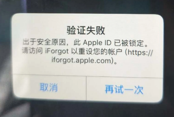 安庆iPhone维修分享iPhone上正常登录或使用AppleID怎么办 