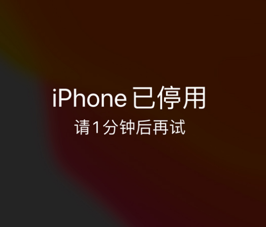 安庆苹果手机维修分享:iPhone 显示“不可用”或“已停用”怎么办？还能保留数据吗？ 