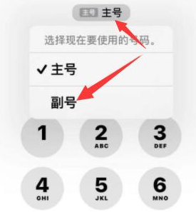 安庆苹果14维修店分享iPhone 14 Pro Max使用副卡打电话的方法 