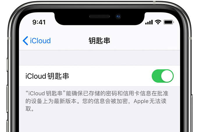 安庆苹果手机维修分享在 iPhone 上开启 iCloud 钥匙串之后会储存哪些信息 