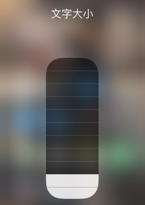 安庆苹果手机维修分享小技巧：在 iPhone 控制中心快速调节字体大小 