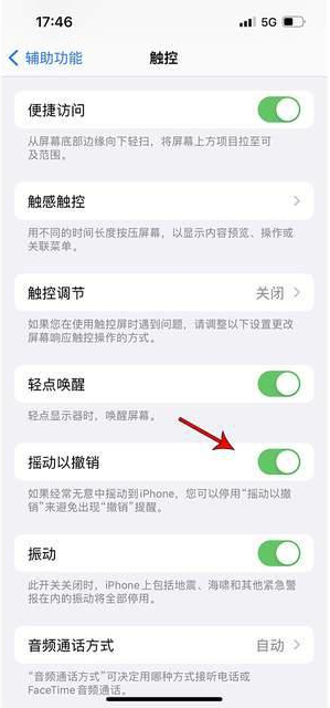 安庆苹果手机维修分享iPhone手机如何设置摇一摇删除文字 