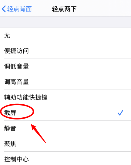 安庆苹果手机维修分享iPhone12如何启用双击截屏 