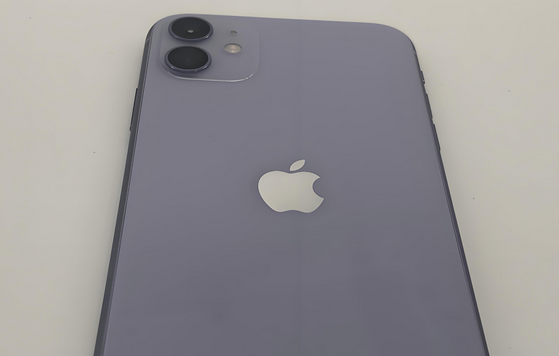 安庆苹果11系统维修分享iPhone11手机系统崩溃无法开机如何解决 